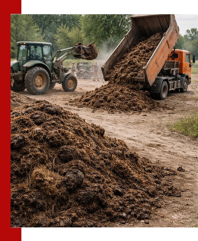 Доставка навоза самосвалами в Когалыме для сельхозпотребностей