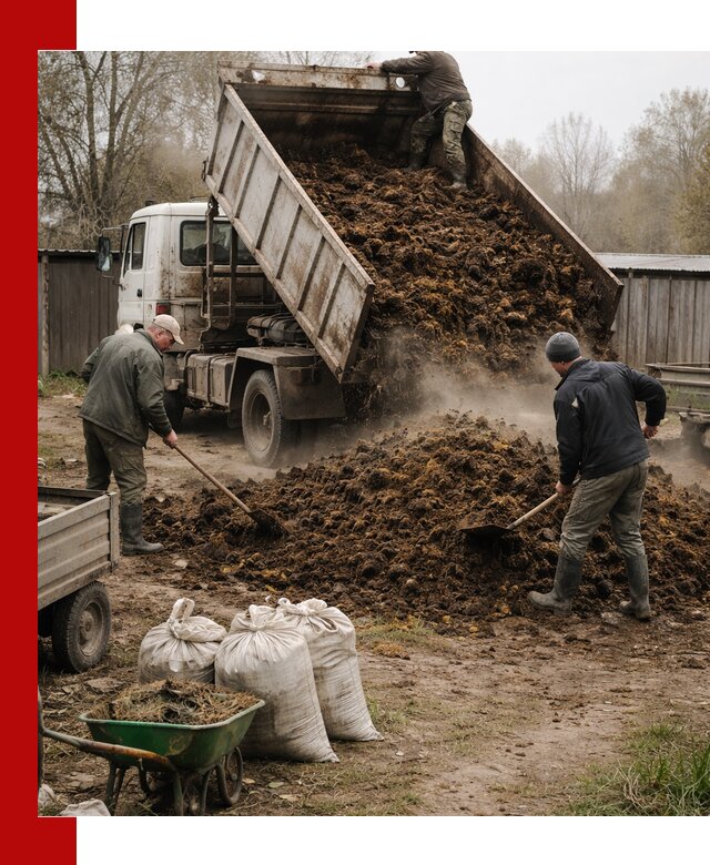 Доставка коровьего навоза самосвалом в Когалыме